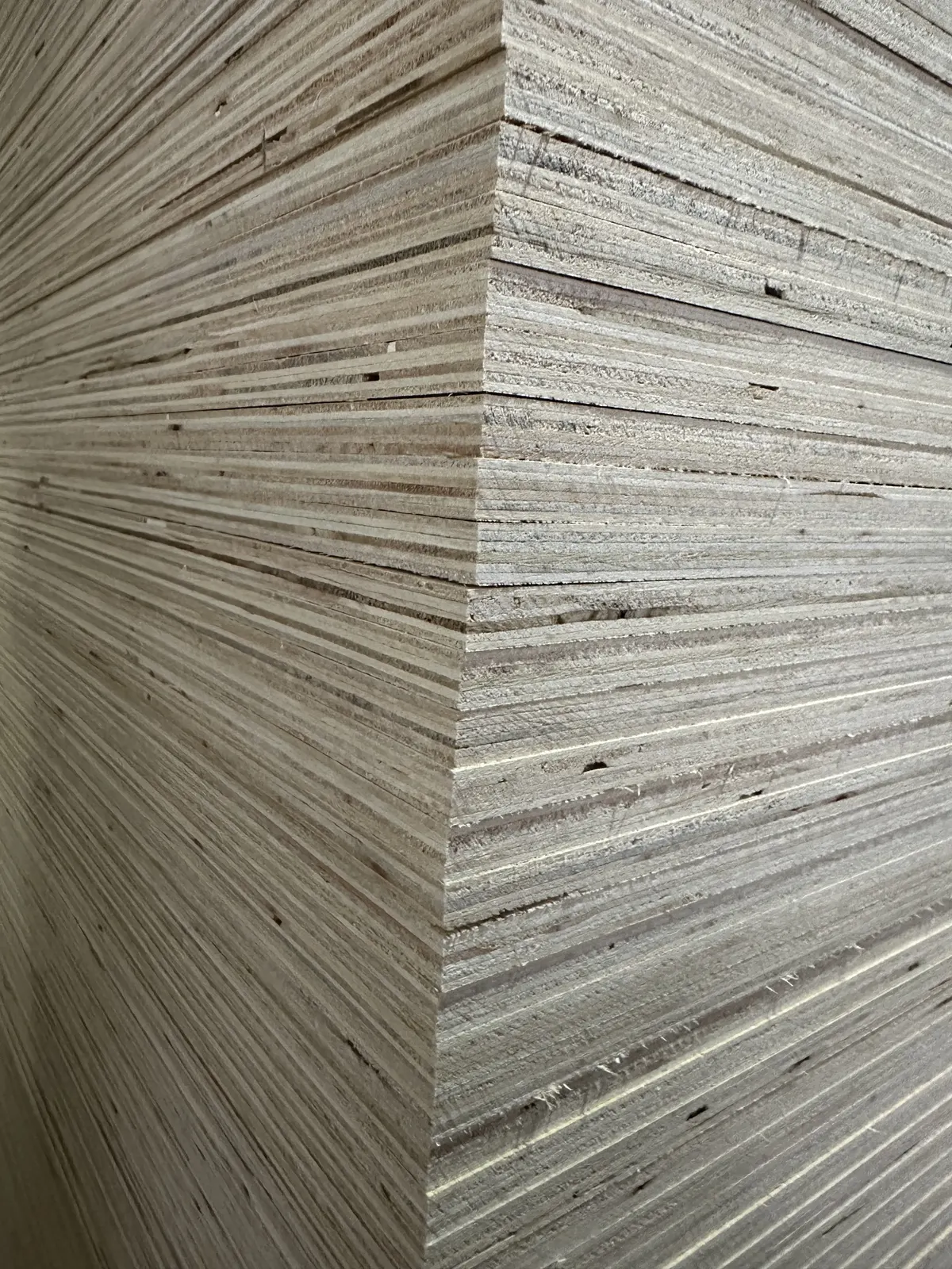Commercial plywood edge inspection